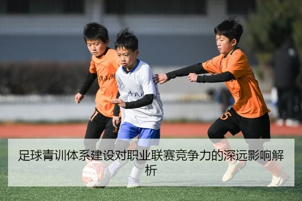 足球青训体系建设对职业联赛竞争力的深远影响解析